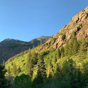 Meet your Posher, Hillary